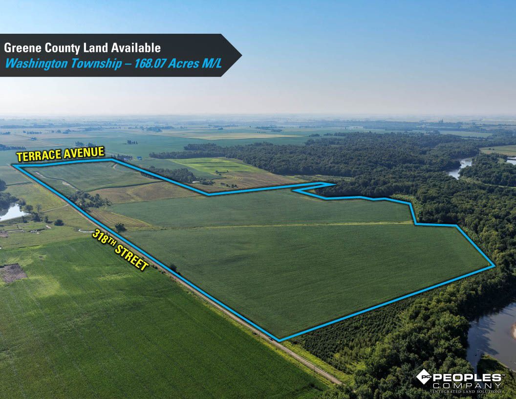 Listing Photo: Greene-County-Land-Available-168-Acres-19616 (21)